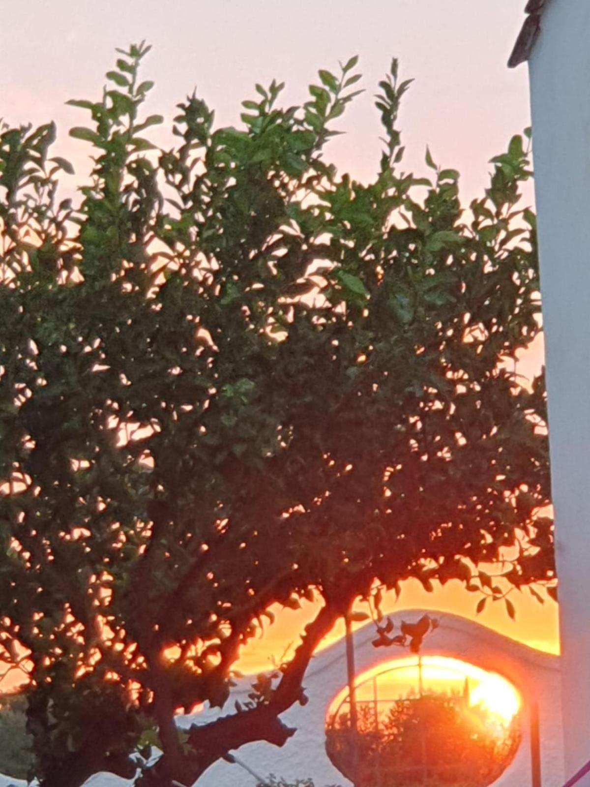 Casal Duca Bed and Breakfast Talsano Εξωτερικό φωτογραφία